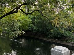 -西郊宾馆-地面停车场