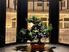 -三号黄浦会Canton Table