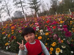 -四里河滨水生态公园