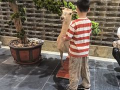 -健眺小海鲜(临海后山店)