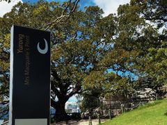 -麦考利夫人座椅