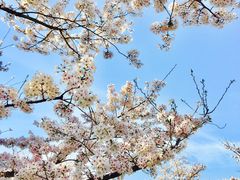 -龙美术馆(西岸馆)