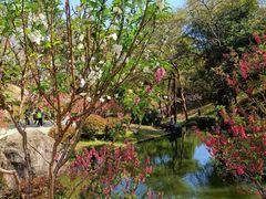 -广州市白云山风景名胜区