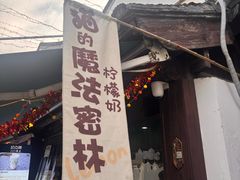 -猫的魔法密林(衣裳街店)