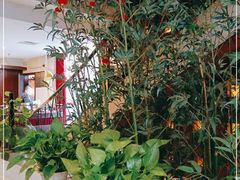 -老东吴食府(雅都店)