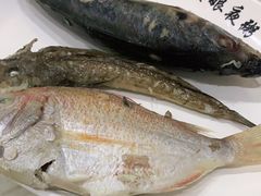-长平老姿娘夜粥(平东一街店)