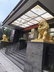 -中国黄金(北京旗舰店)