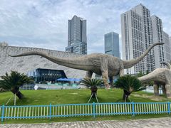 -安徽省地质博物馆