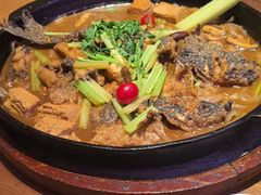 -老板恋上鱼(恒隆广场店)