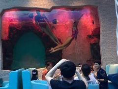 -瑞德姆美人鱼海底演艺主题餐厅(亚龙湾店)