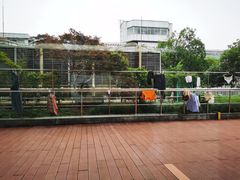 -杭州市第一人民医院(湖滨院区)