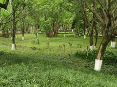 -重庆彩云湖湿地公园