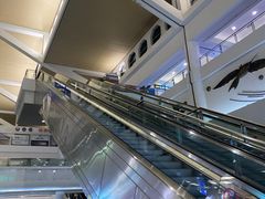 -厦门高崎国际机场-T3航站楼