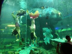 -龙谷湾旅游休闲度假区