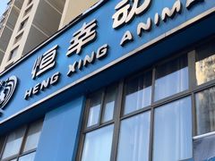 -恒幸动物医院·急重症转诊中心·神经内外科·CT核磁