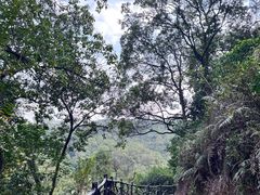 -大雁山风景区