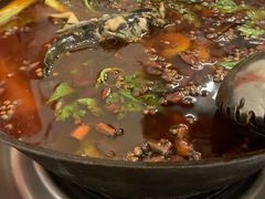 -鸿顺老铁锅美蛙鱼府(解放碑店)