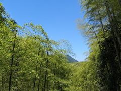 -藏龙百瀑风景区