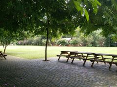 -南宁良凤江国家森林公园