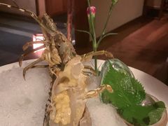 -揽季锅物会.福建黄鱼.海鲜姿造(五四路店)