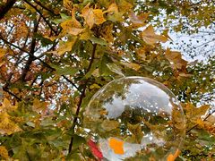 -福州大学(旗山校区)