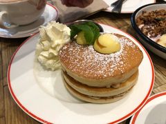 -Elephant Grounds(STARSTREET)