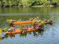 -深圳仙湖植物园