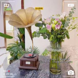 -Lily纤美·科技减脂中心
