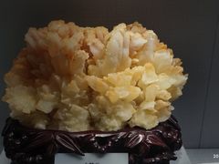 -湖南省地质博物馆