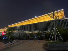 -苏州金鸡湖文博诺富特酒店