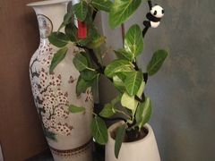 -老绥元烧麦·家常菜(如意店)