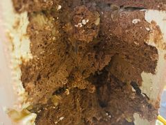巧克力坚果-Biteology Artisan Cakes(红庄·国际文化保税创新园店)