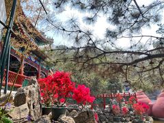 -红螺寺