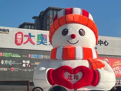 -盛京大奥莱(沈阳奥体店)