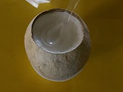 -椰爺爺·椰子冻砵仔糕