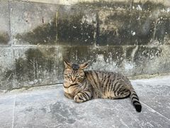 -西园戒幢律寺