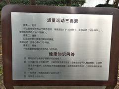 -南翔镇银翔湖公园