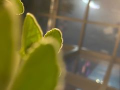 -庄子梦然·城市微度假·24h按摩·推拿·spa