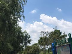 -鹤之洲湿地公园