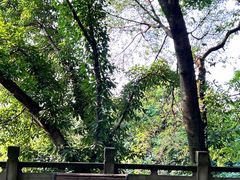 -重庆平顶山公园