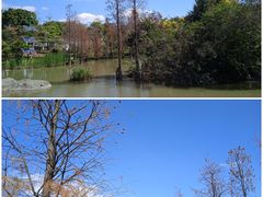 -海珠湖公园