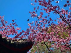 -乌山风景区