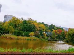 -铜锣湾·有麝自然香(渝北财富中心店)