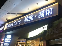 -袖虎·猫馆(体育西路店)