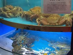 -董大蒸货(方塔园店)