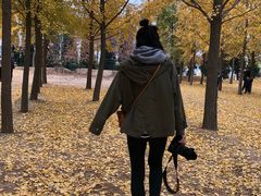 -汉景帝阳陵博物院