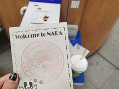 -奈良公园