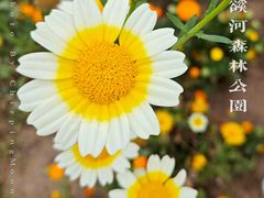 -广州市流溪河国家森林公园