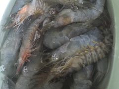 -济南海鲜大市场