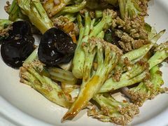 -鸽子窝(宋庄店)
